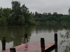 -白鹭湾湿地公园