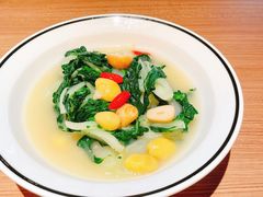 浓汤奶白菜-新太二·鲜料川菜(晶耀前滩店)