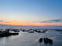 -枸杞岛