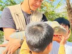 -合肥滨湖国家森林公园