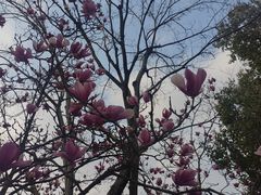 -海兰云天度假区温泉