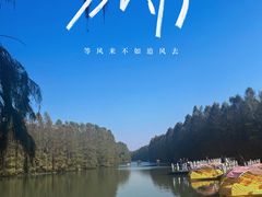 -上海海湾国家森林公园