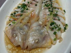 多彩鱼-骏莱海鲜鱼港(五角场店)