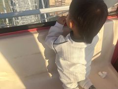 -星城之眼摩天轮