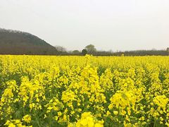 -长兴岛郊野公园农场食堂