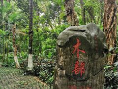 -广西壮族自治区药用植物园