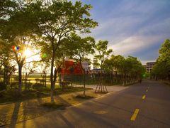 吴淞轮-上海海事大学(临港校区)