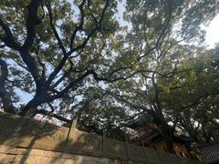 -普陀山风景名胜区-法雨禅寺
