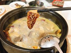 -蘑统田下·野生菌火锅