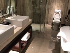 -常州环球恐龙城维景国际大酒店