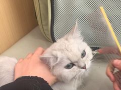-瑞派康怡24h宠物医院·犬猫医疗中心·微创绝育(瑞景分院)