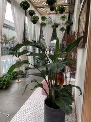-宝贝家族国际影像馆(东郊记忆店)