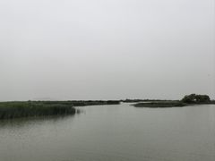 -苏州太湖湖滨国家湿地公园