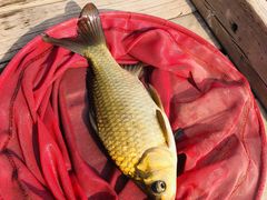 -酷鱼垂钓CLUB(朝阳区博大路店 )