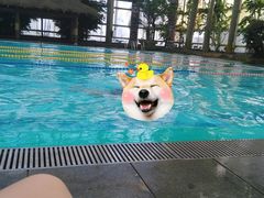 -龙达温泉生态城