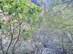 -龙洞风景区-藏龙涧