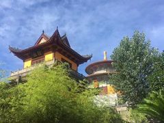 -铁山坪森林公园