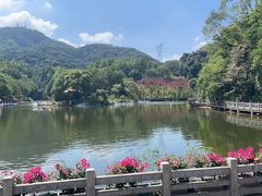 -广州市帽峰山景区
