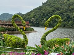 -广州市石门国家森林公园