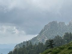 -芦芽山旅游度假区