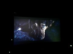 -万象影城(深圳布吉万象汇IMAX店)