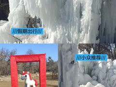 -沈阳植物园