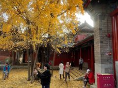 -承恩寺