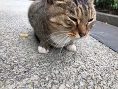 -苏州河梦清园环保主题公园