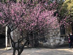 -无锡梅园公园