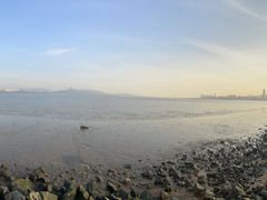 -深圳湾公园(南山区)