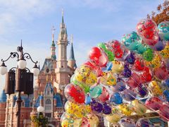 -上海迪士尼度假区