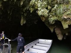 -怀托摩萤火虫洞