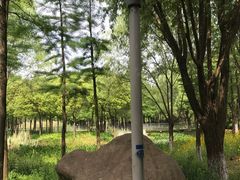 -尚贤河湿地