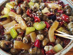 -福苗小骆驼烧烤(莲湖路店)