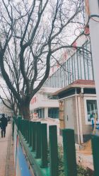 -济南市儿童医院