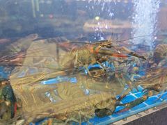 -老班长·小龙虾·鲜货烧烤大排档(金街美地店)