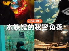 -南昌动物园