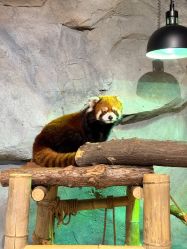 -Zoolung Zoolung动物主题公园(海信广场店)