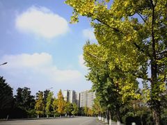 -四川大学(江安校区)