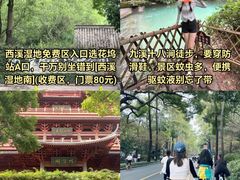 -灵隐飞来峰景区