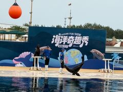 -秦皇岛乐岛海洋王国