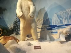 -陕西自然博物馆