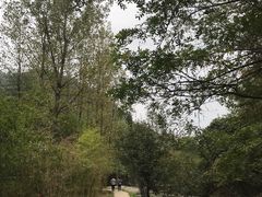 -夏霖九天银瀑风景区