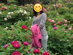 -盛世牡丹苑生态文化旅游区