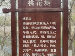 -桃花堤公园