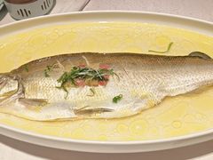 -森隆饭庄(新世界百货崇文店)