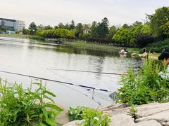 -美兰湖景区
