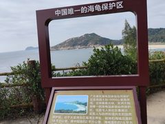 -广东惠东海龟国家级自然保护区