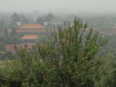 -成都驻京办餐厅(蜀都宾馆店)