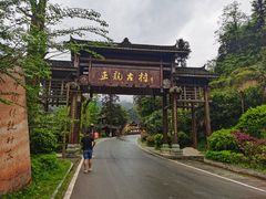 -紫鹊界梯田景区